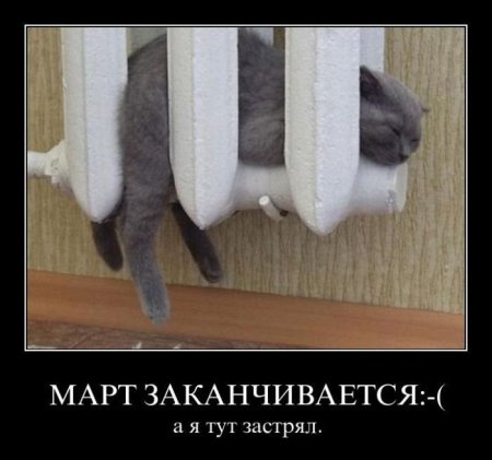 1317498937_demmm-062.jpg