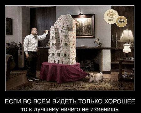 1317498959_demmm-031.jpg