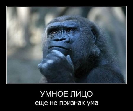 1317498993_demmm-075.jpg