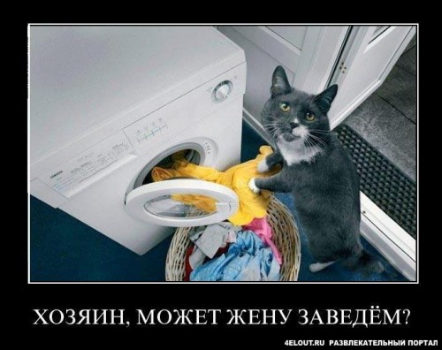 1334997137_1318247670_hozyain-mozht-zhenu-zavedem.jpg