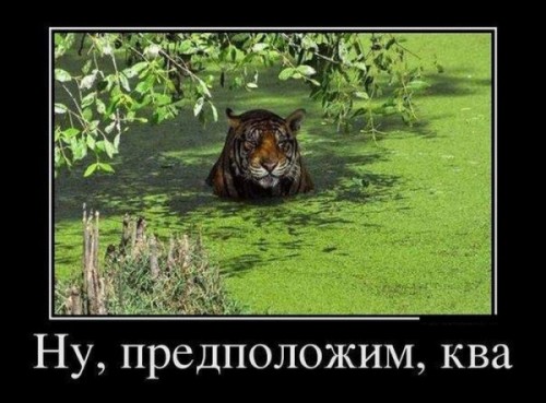 1369280355_1367738553_demotivator-14.jpg