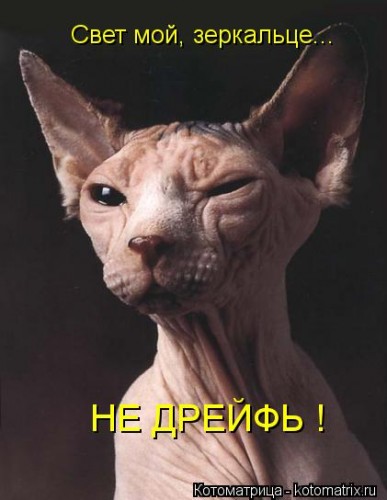 kotomatritsa_3L.jpg