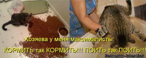 kotomatritsa_5v.jpg