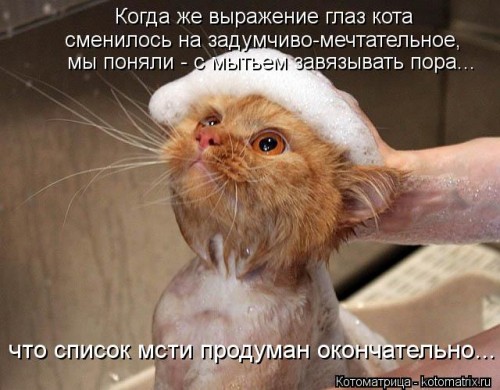 kotomatritsa_t.jpg