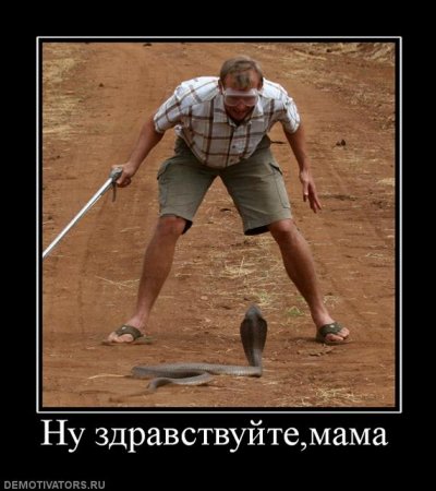 1308722727_254278_nu-zdravstvujtemama.jpg