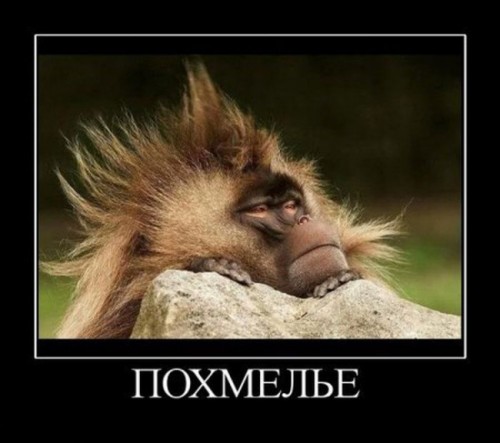 1324538196_demotivv.jpg