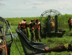 tumblr_mse20e3jAY1qe5f96o1_r1_250.gif