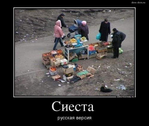 2387568_3e1d3ea9.jpg