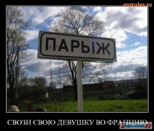 1325148349afe.jpg