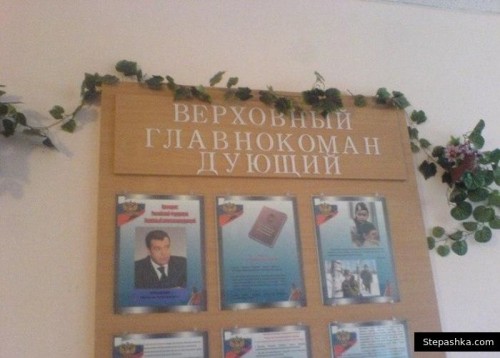 242991666668666podborka_28.jpg