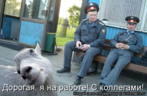 345831.jpg
