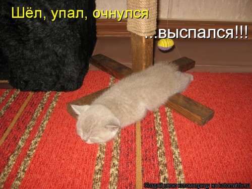 889003.jpg