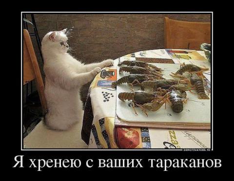 20130809102331.jpg