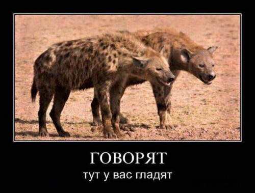 1322444963_demotivatory_08.jpg