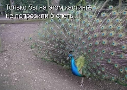 e70333f808b721c0063750a4e45ccfbe_full.jpg