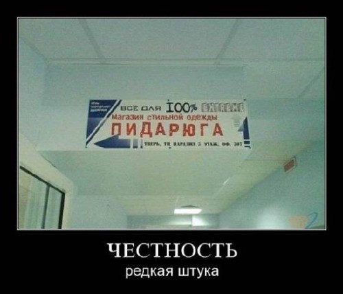 1276426983_o7qjtcltbgvwbiz.jpeg