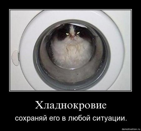 1278275484_12.jpg