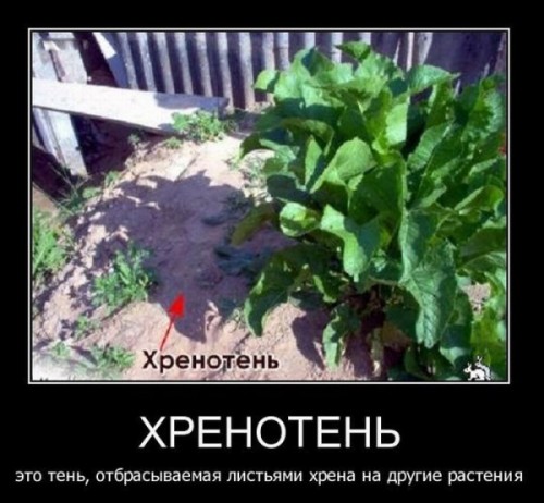 1300937053_k9zmcxr32dqiz0m.jpeg