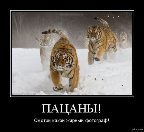1377415442_4.jpg