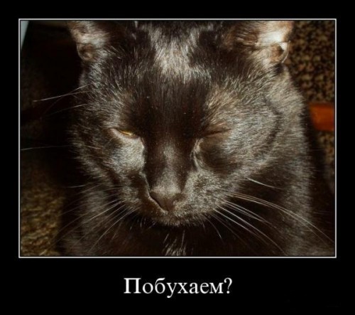 1377415490_9.jpg