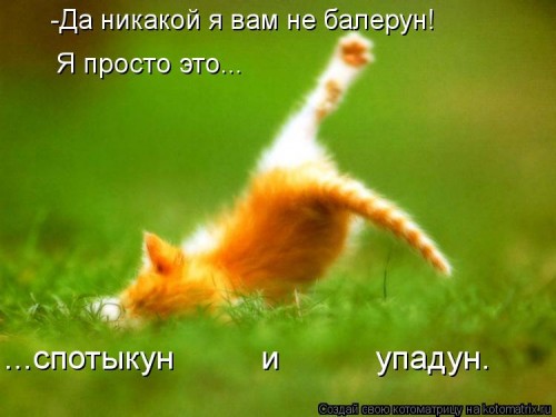 kotomatritsa_K.jpg