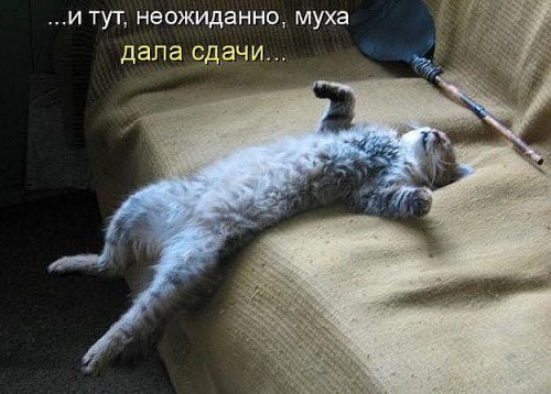 aaaaa.jpg