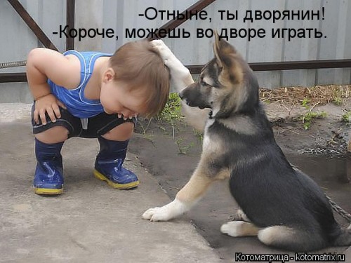 kotomatritsa_aA.jpg