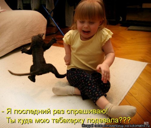 kotomatritsa_y7.jpg