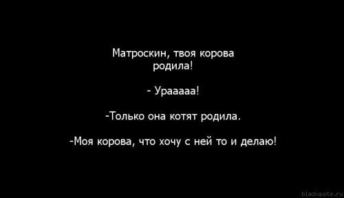 1311534899.jpg