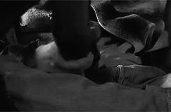 VU8aq.gif