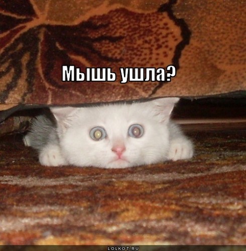 http://gbutler.ru/forum/download/file.php?id=2695&amp;t=1