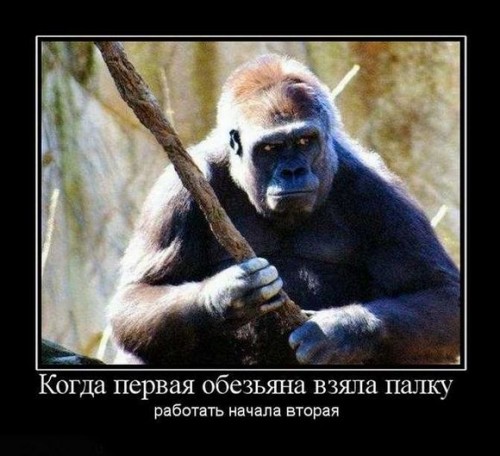 http://gbutler.ru/forum/download/file.php?id=2741&amp;t=1