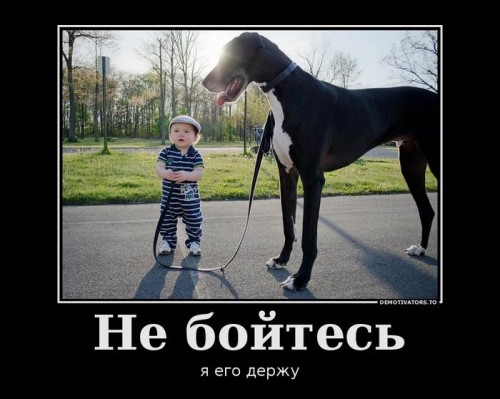 1382410992_021.jpg