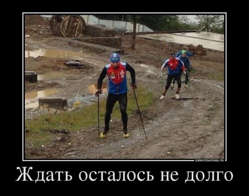 1382411030_025.jpg