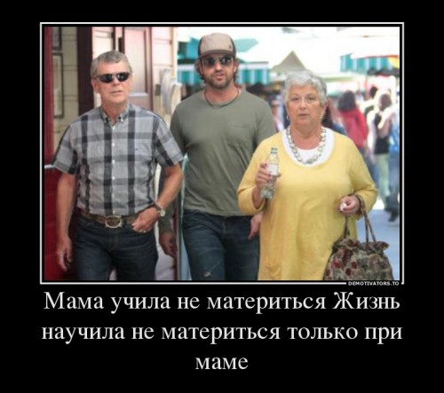 507571_mama-uchila-ne-materitsya-zhizn-nauchila-ne-materitsya-tolko-pri-mame_demotivators_to.jpg