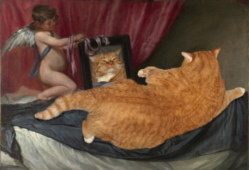 767255-R3L8T8D-650-Velazquez_Venus_cat_w.jpg