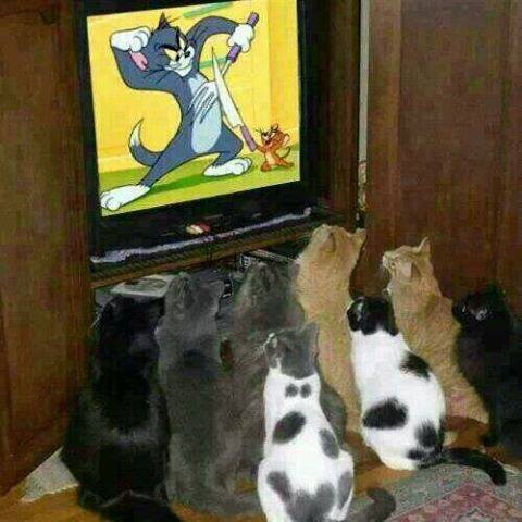 DmsviZm7oGc.jpg