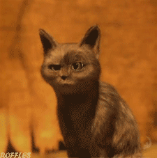 tumblr_inline_mjpuyblwWX1r255kz.gif
