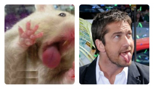 collageбе-бе-бе.jpg