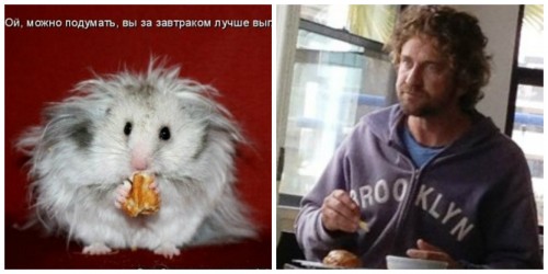 collageзавтрак.jpg