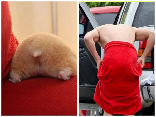 collageпопки.jpg