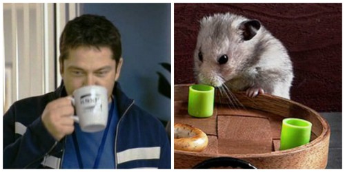 collageпьем.jpg