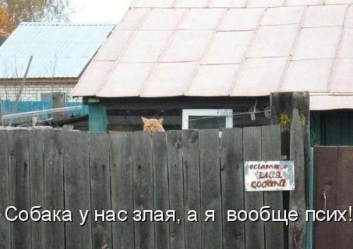 efECGChV6zI.jpg