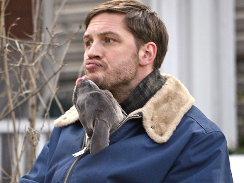 tom-hardy-600.jpg
