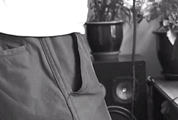 tumblr_n1gtquQB3N1qe5f96o2_250.gif