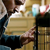tumblr_n3dnnj41761sacepqo7_250.gif