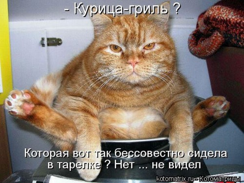 http://gbutler.ru/forum/download/file.php?id=3493&amp;t=1