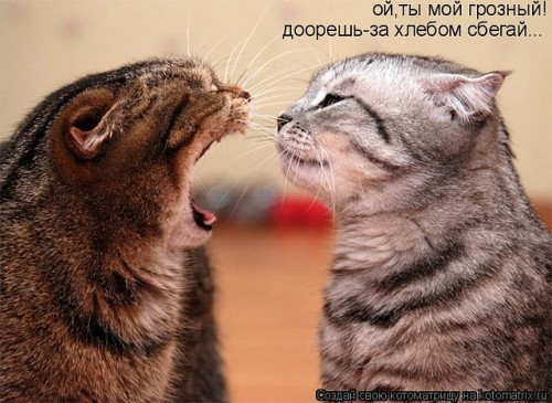 http://gbutler.ru/forum/download/file.php?id=3496&amp;t=1
