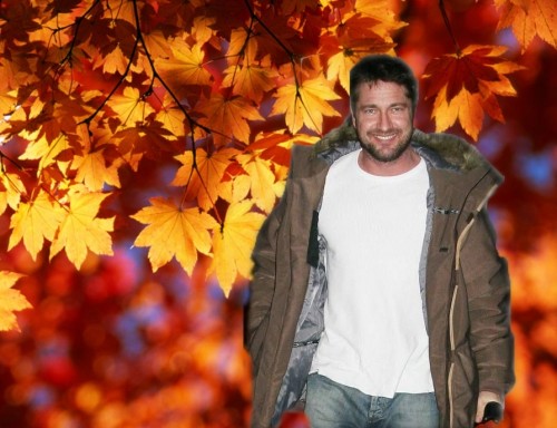 autumn_tree копия.jpg