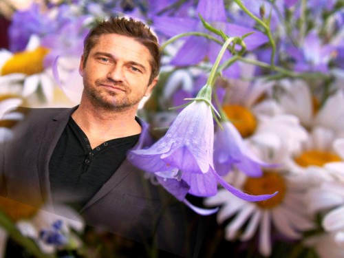 Field-flowers-1324285551_27 копия.jpg